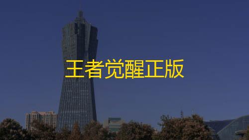 暗区小号卡网王者觉醒正版