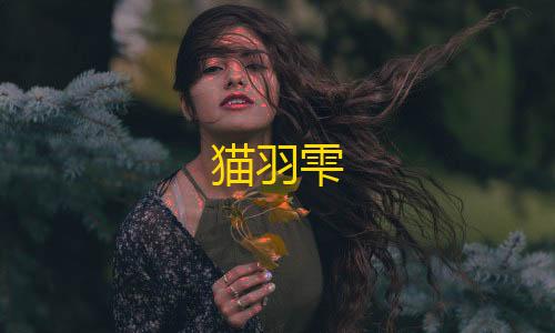 暗区突围透视物资猫羽雫