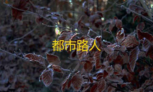 暗区突围辅助发卡网都市路人