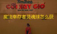 魔法幸存者灵魂球怎么获得